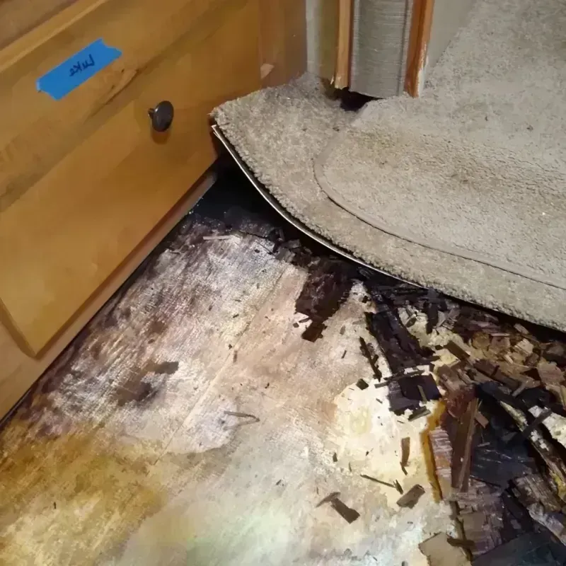 Wood Floor Water Damage in Saint Clair County, MO